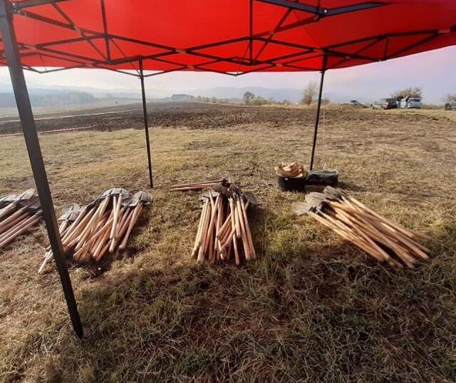 Новата гора на София