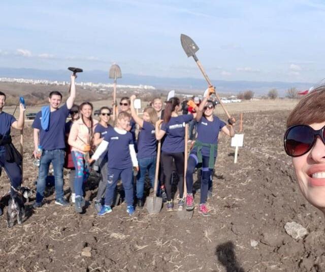 Новата гора на София