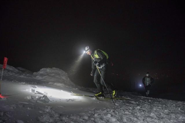 Да спасим снежния леопард