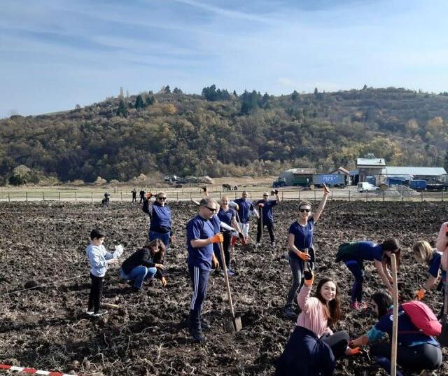 Новата гора на София